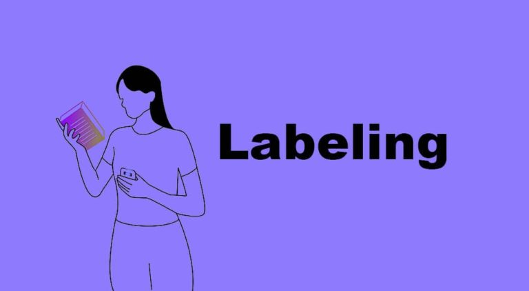 Labeling Definition Types Function Examples Parsadi