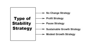 Stability Strategy Definition Types Examples Parsadi