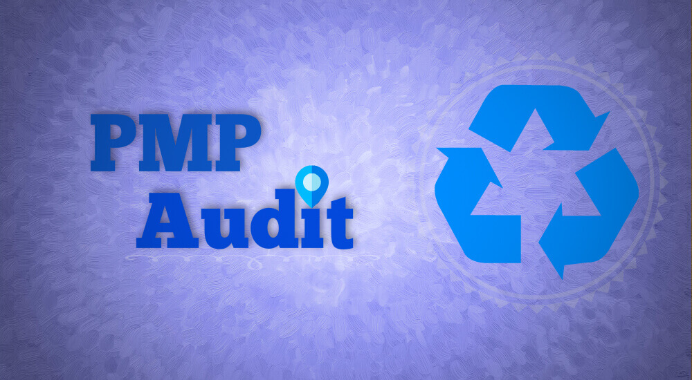 PMP-Audit-Process