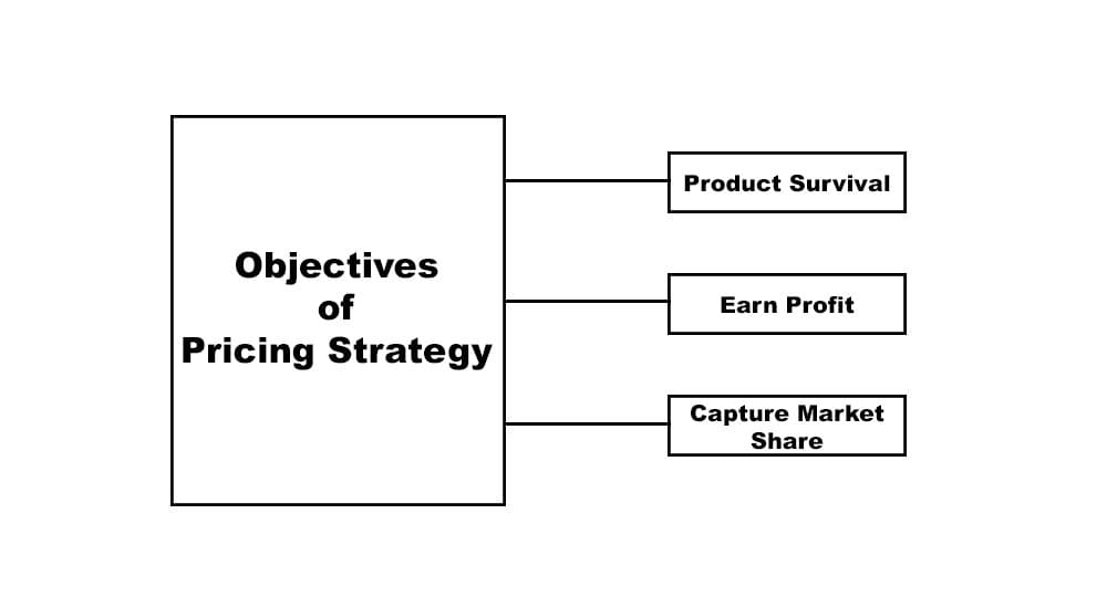 Define What Is Pricing Strategy In Marketing Perspective