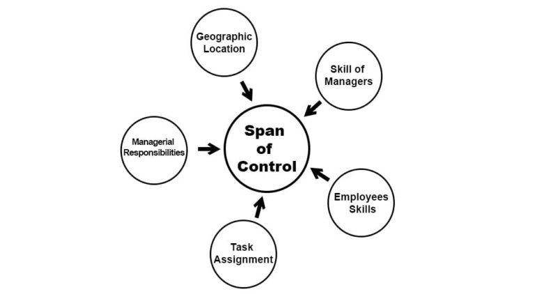Span Of Control In Management Definition Factors And Types Parsadi