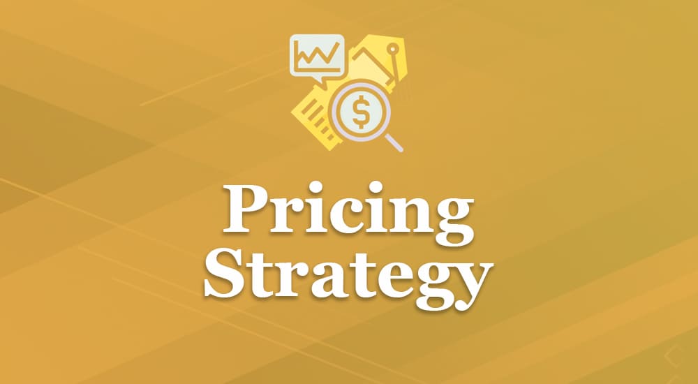 The Pricing Strategy