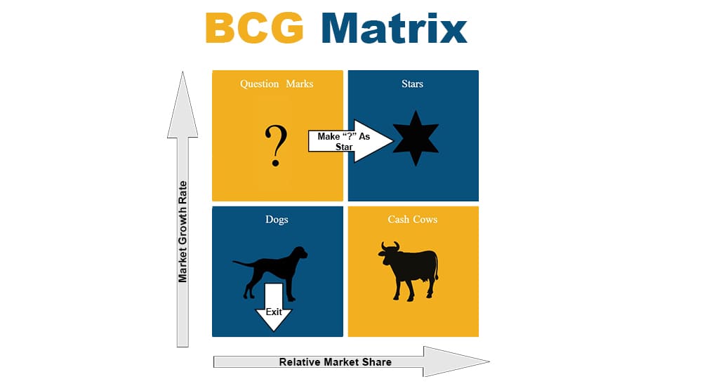 bcg matrix services in home health