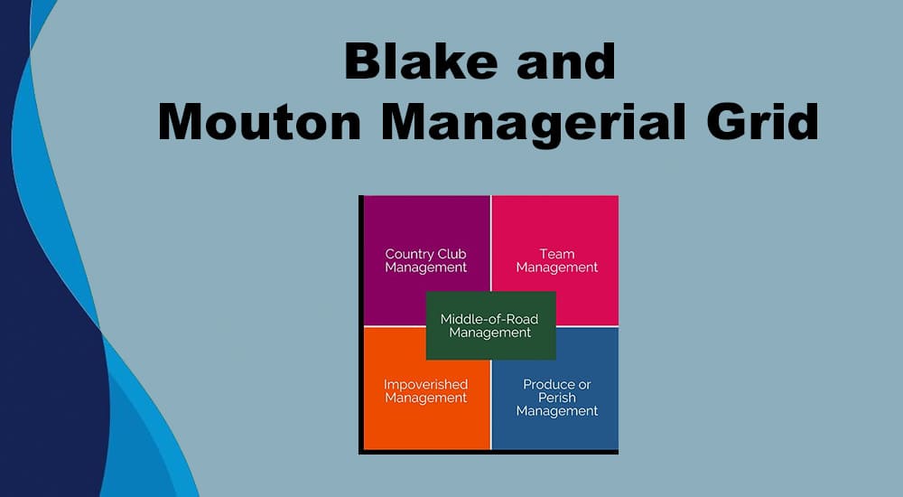 robert blake managerial grid