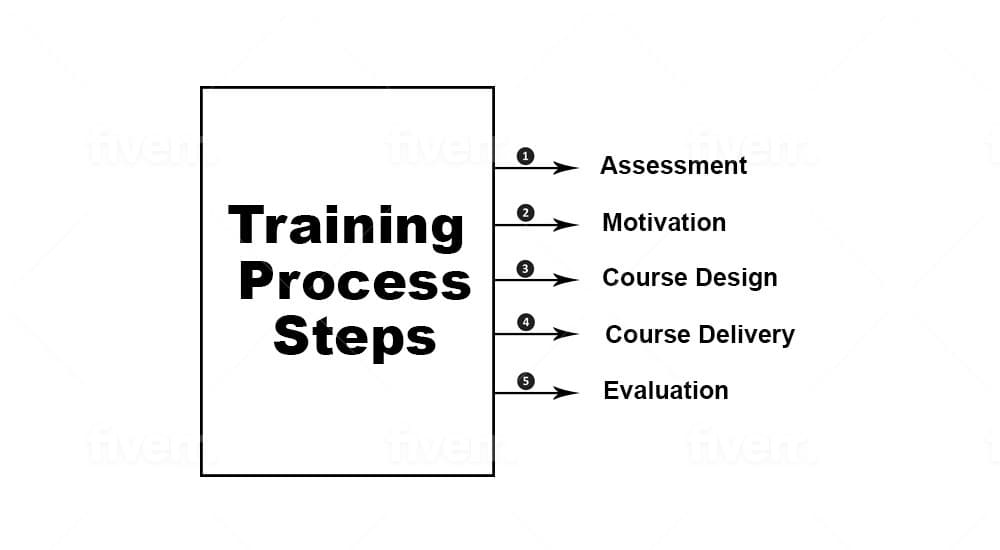 Training: Definition, Steps in Training Process