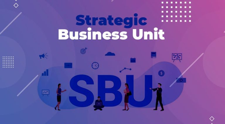 Strategic Business Unit Sbu Definition Example And Levels Parsadi