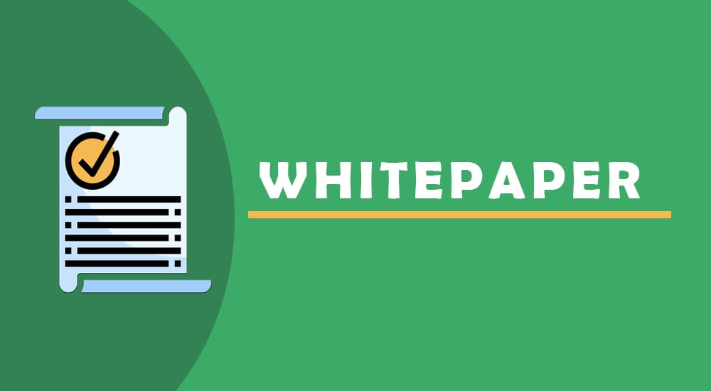 Whitepaper Definition Meaning Example Parsadi