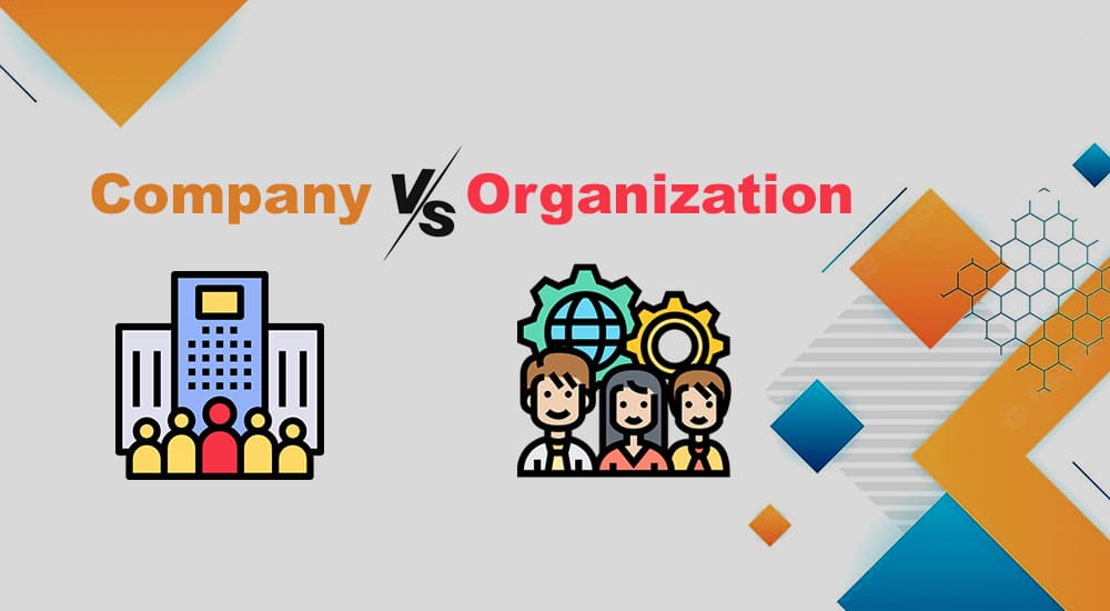 company vs organization