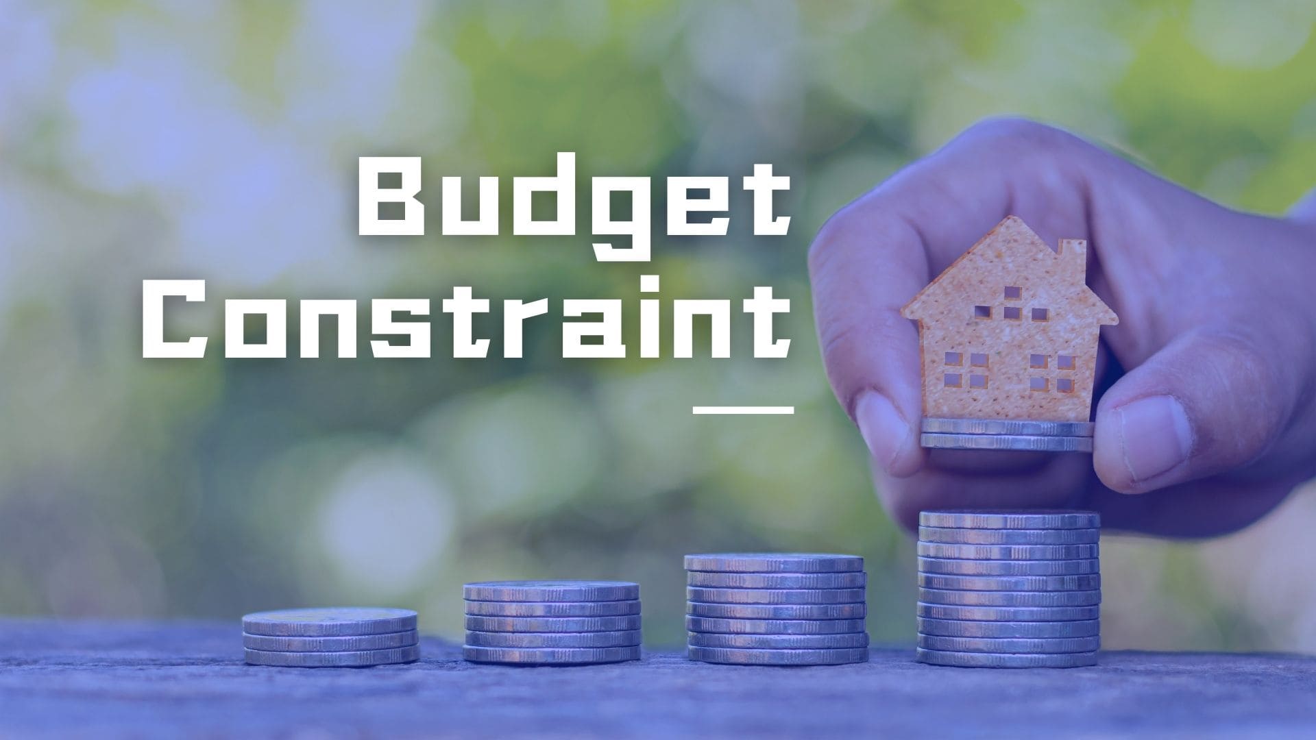 What Are Budgetary Constraints