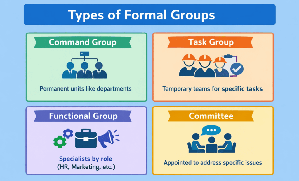 infographic showing types of formal groups